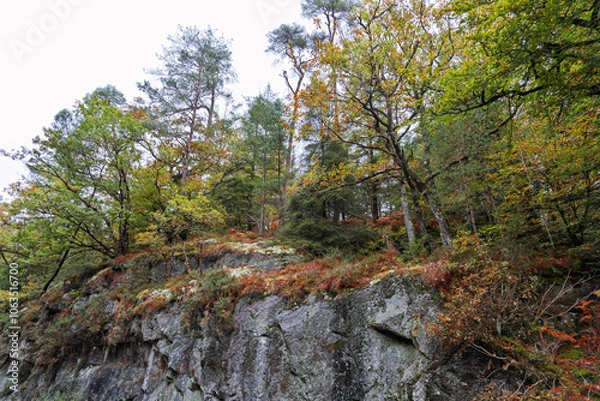 Fototapeta Dans la forêt d'Huelgoat, les chaos granitiques se mêlent aux teintes automnales, créant un paysage mystique où les rochers et les arbres, enveloppés de mousse, inspirent calme et contemplation.