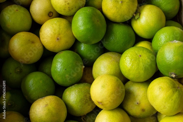 Obraz Thriving Lime Tree with Fresh Fruits