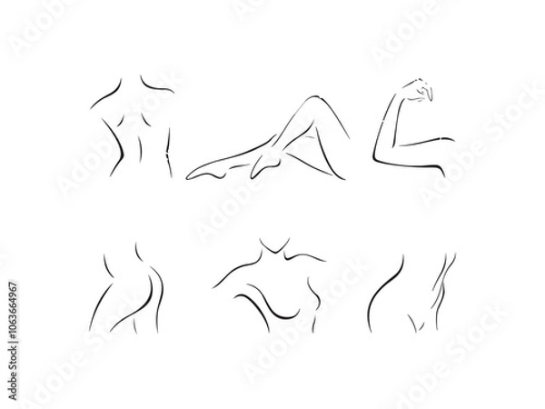 Obraz Vector of set of stylized female body parts Set of stylized body parts illustration.
