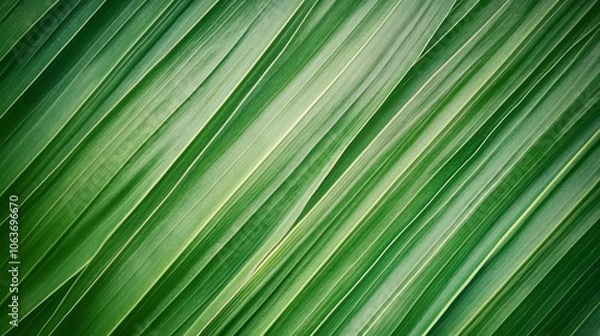 Fototapeta Natural background with tropical leaves. The texture of a green leaf
