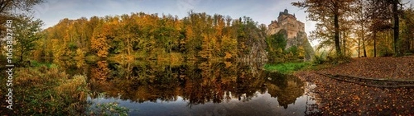 Obraz autumn in the forest