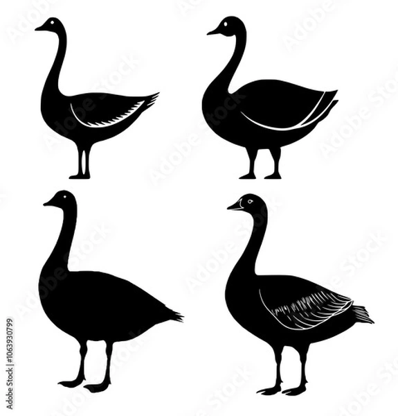 Fototapeta Gans Silouette