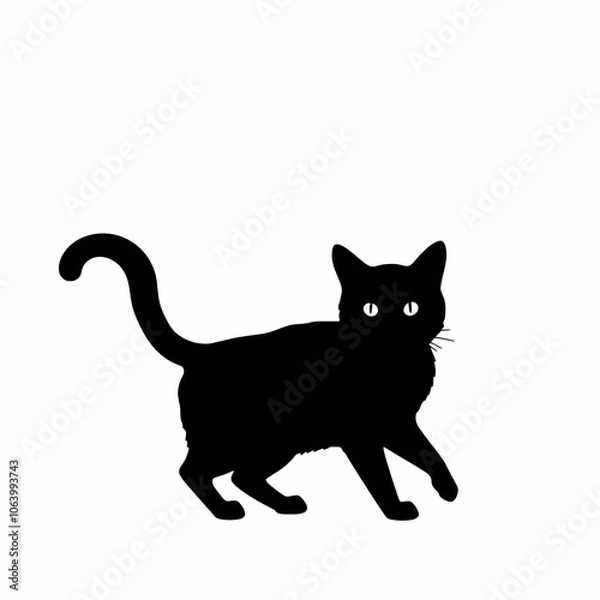 Fototapeta cat silhouette  vector black color silhouette on whit background