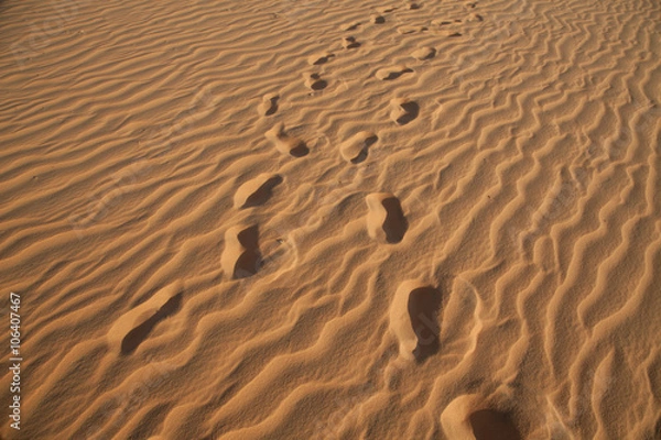 Fototapeta Следы в пустыне