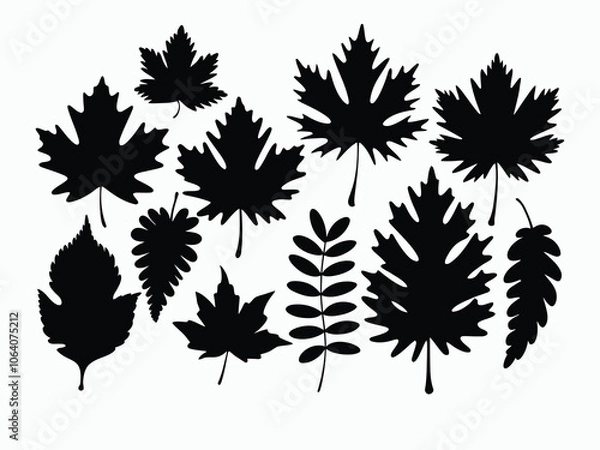 Fototapeta Maple Oak Birch Silhouette EPS Vector Template Illustration