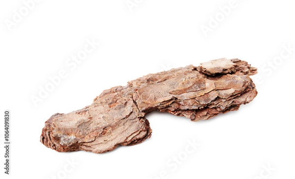 Fototapeta One piece of tree bark on white background