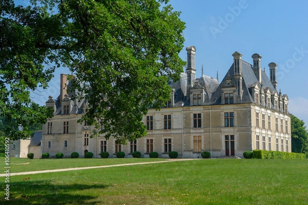Fototapeta Chateau Beauregard