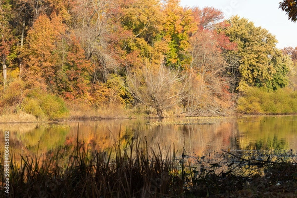 Fototapeta A gorgeous view of Jacksons Pond, in Clark New Jersey during the fall. The colorful fall foliage is reflected in the water.