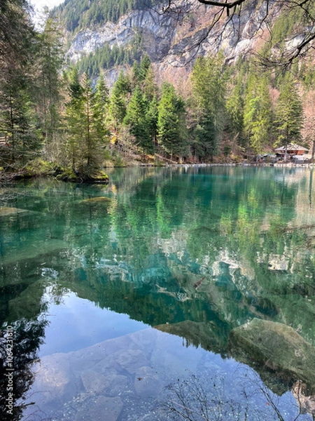 Fototapeta Clear water view in Blausee / Blue Lake - Bernese Oberland, Switzerland.	