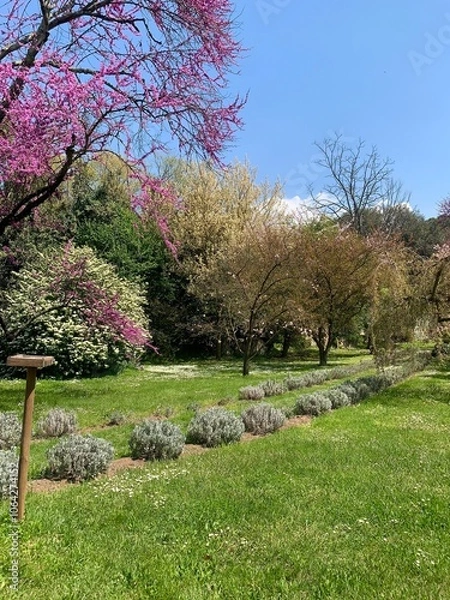 Fototapeta Beautiful garden path in Italy