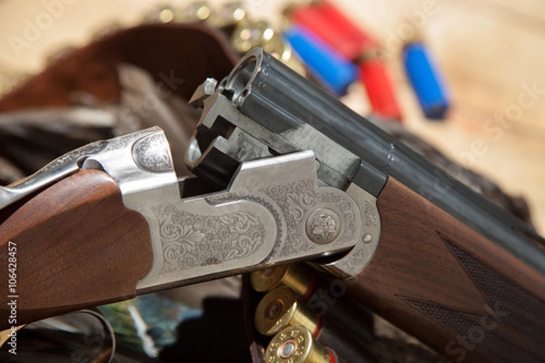 Obraz Gun, hunting, a dead duck, and ammunition 