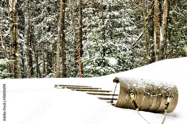 Fototapeta Snow Toboggan