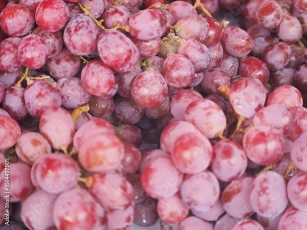 Obraz red grapes close up