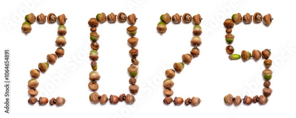 Obraz 2025. Numbers composed of oak acorns