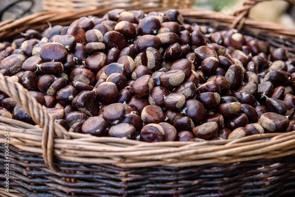 Obraz castagne