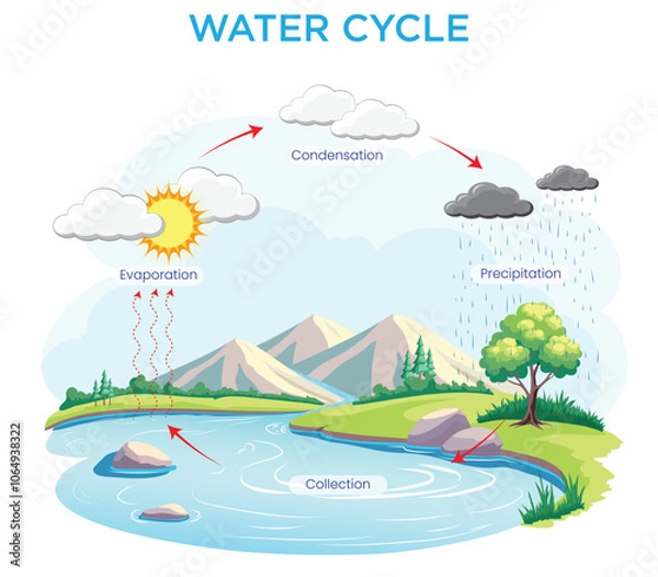 Fototapeta The Water Cycle Process of Evaporation, Condensation, Precipitation, and Collection