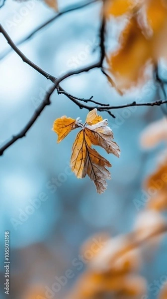 Obraz autumn leaves hanging from tree branch
