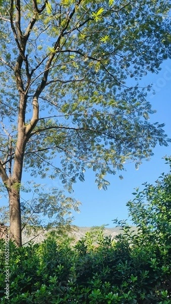 Obraz Green Landscape with Tree and Mountains