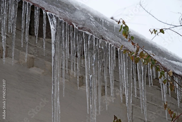 Obraz Cold winter, ice formation. Big icicles hang from roof of house