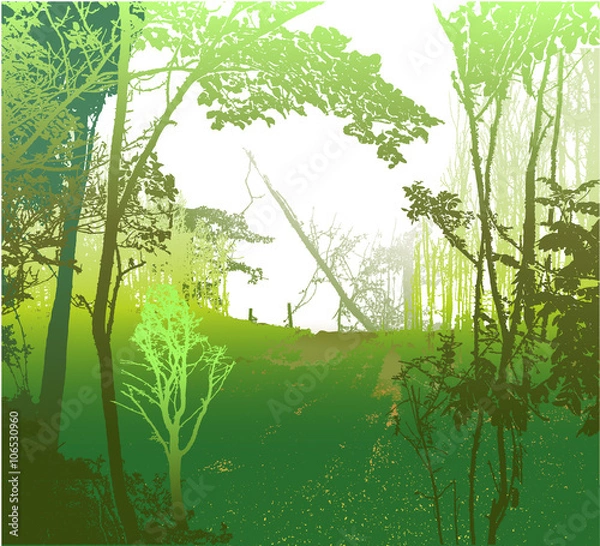 Fototapeta Wild panoramic landscape with sunny forest, silhouettes of trees and grass