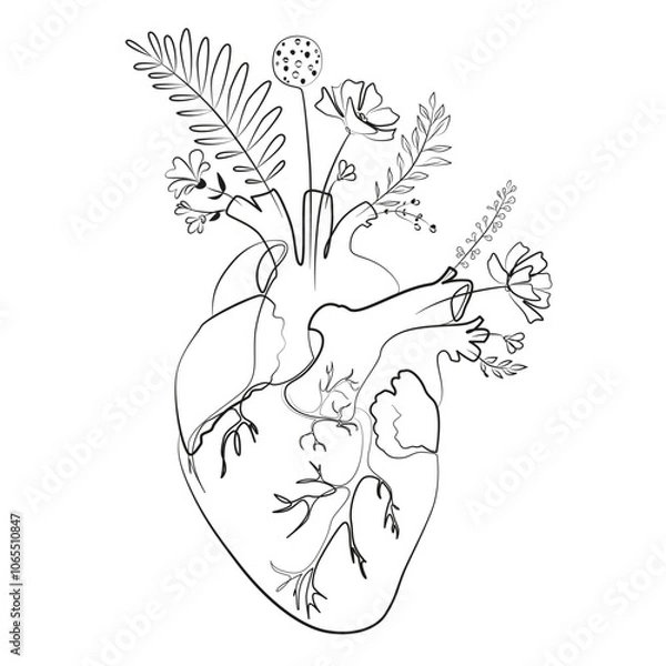 Fototapeta Flower heart line contour drawing on a white background. Anatomical decorative print. Medical minimalist art.