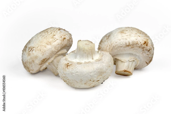 Fototapeta champignon mushrooms on white background