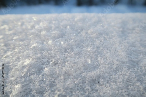 Obraz ice on the snow