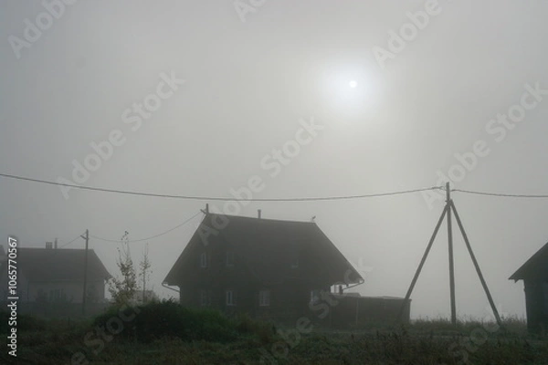 Fototapeta sun at dawn in fog in gray sky