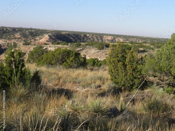 Obraz Prairie view