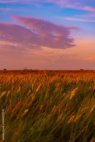 Obraz Vibrant Sunrise Over Tranquil Lagoon