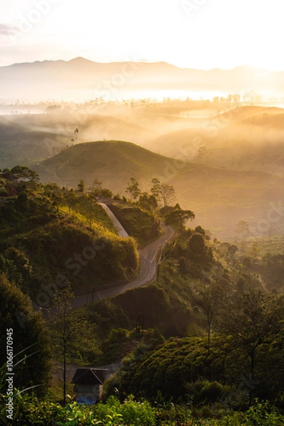 Obraz sunset over the road