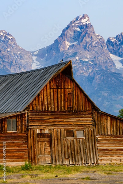 Obraz Barn with bird on top
