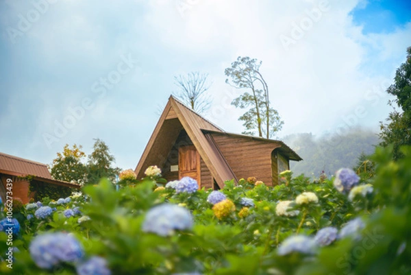 Fototapeta An old wooden house in the forest, surrounded by nature and hydrangeas. A peaceful rural landscape.