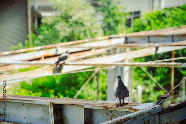 Obraz Steel structure in an old factory full of rust