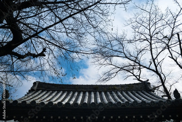 Obraz 瓦屋根　日本の武家屋敷の門