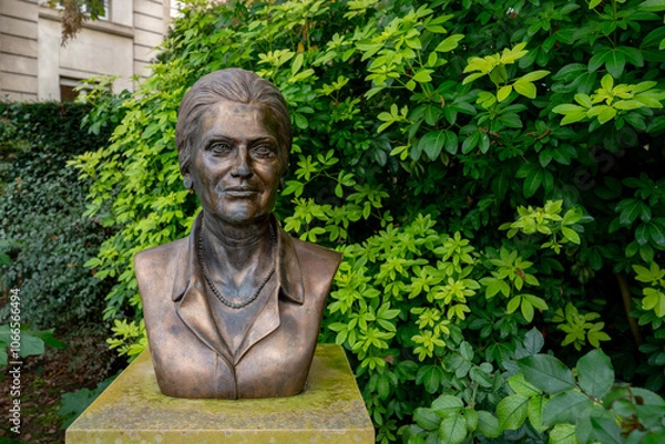 Obraz Simone Veil