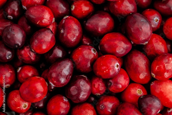 Obraz Cranberry-clementine gin tonic