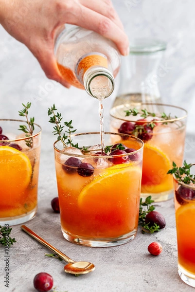 Obraz Cranberry-clementine gin tonic