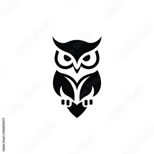 Obraz owl