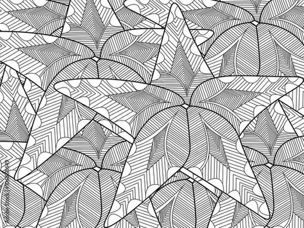 Fototapeta Starfish coloring vector for adults