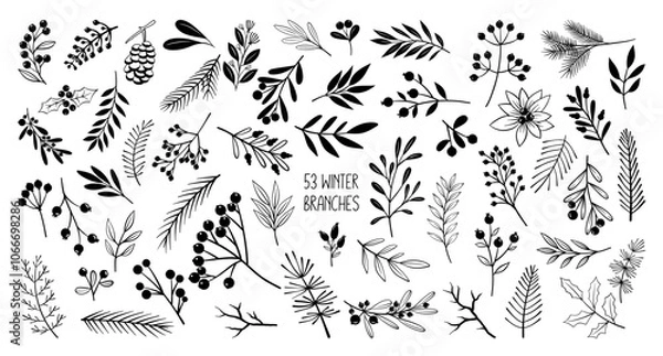 Fototapeta Line drawing Christmas winter branch silhouettes (pine branches, berries, poinsettia, fir tree twigs), hand drawn vector illustration