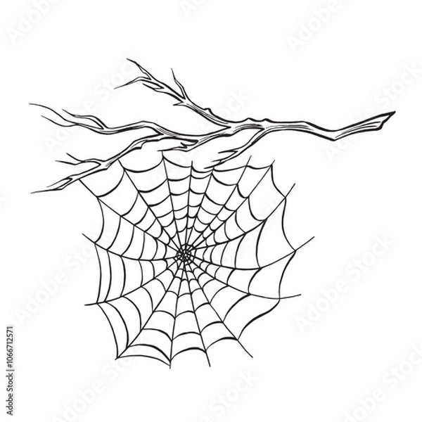 Fototapeta Spider web on the bare tree branch. Composition of line sketches. Spooky trap of insect thread. Vector graphic illustration, hand drawn isolate. Black and white forest nature. Clipart for card, print.
