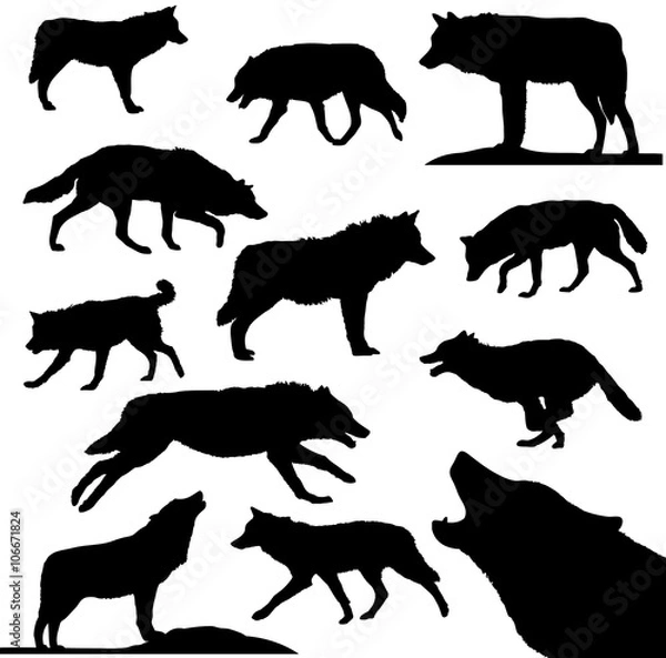 Obraz Wilki - kolekcja wektorów
