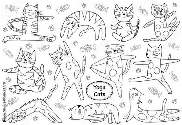 Fototapeta Cute yoga cats in cartoon style collection. Funny feline animals in different yoga poses in outline. Vector illustration