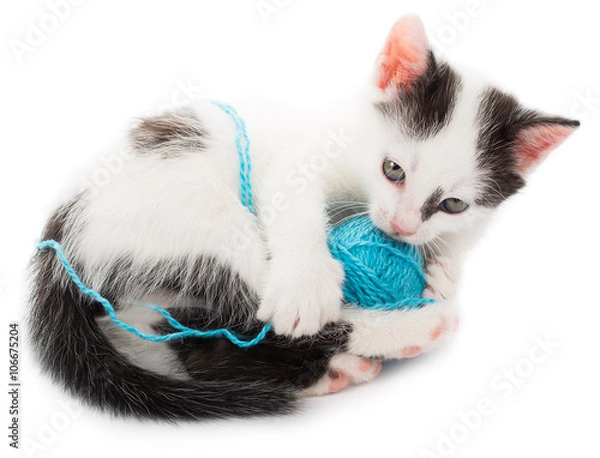 Fototapeta kitten playing with ball of yarn