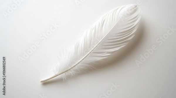 Obraz Single white feather on white background. Perfect for designs that need a soft, delicate feel.