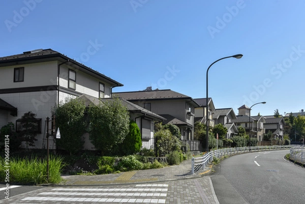 Obraz 日本の住宅地	