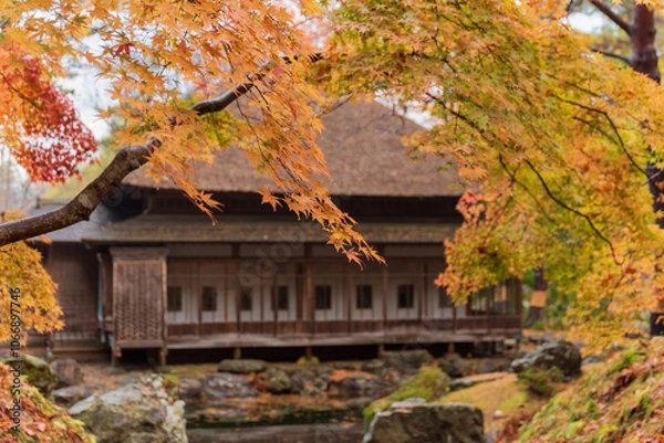 Obraz 紅葉のある風景