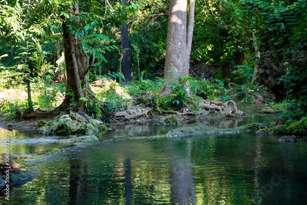 Obraz  น้ำตกวังก้านเหลือง,สวนรุกขชาติวังก้านเหลือง,น้ำตกวังก้านเหลือง ลพบุรี,เดินป่าศึกษาธรรมชาติ 