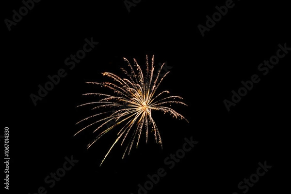 Obraz Fireworks lighting up the night sky. Pyrotechnics, abstract	